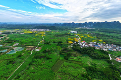 广西人工智能鞭策聪慧农业成长