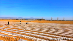 襄汾县贾庄供销社：“三位一体”联动成